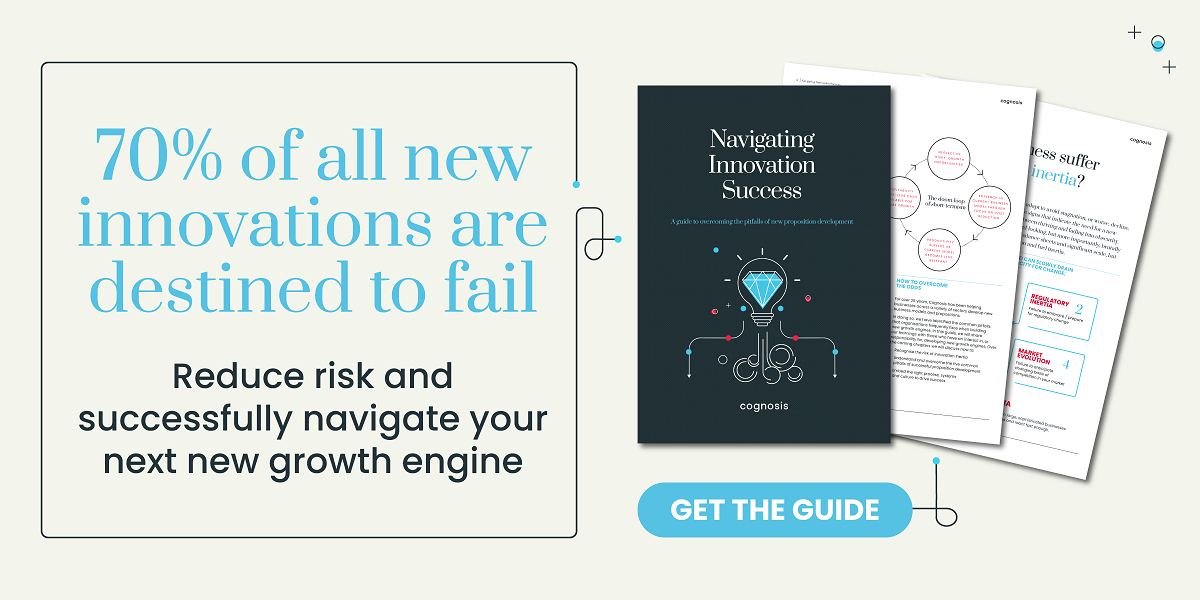 Navigating-innovation-success-guide